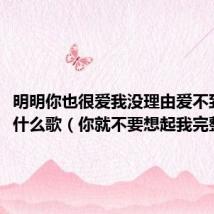明明你也很爱我没理由爱不到结果什么歌（你就不要想起我完整歌词）