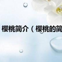 樱桃简介（樱桃的简述）