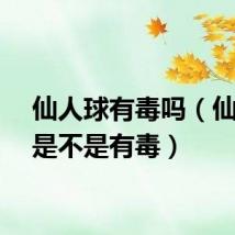 仙人球有毒吗（仙人球是不是有毒）