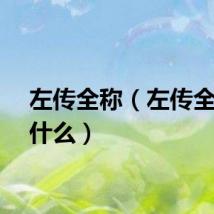 左传全称（左传全称是什么）