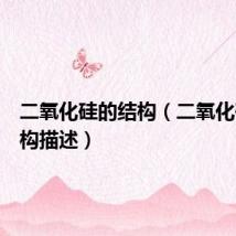 二氧化硅的结构(二氧化硅的结构描述)