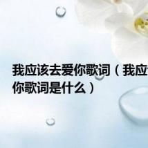 我应该去爱你歌词(我应该去爱你歌词是什么)