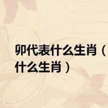 卯代表什么生肖（卯是什么生肖）