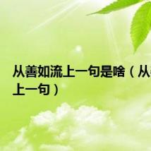 从善如流上一句是啥(从善如流上一句)