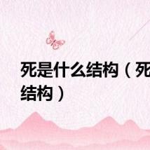 死是什么结构（死是啥结构）