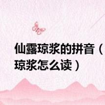 仙露琼浆的拼音（仙露琼浆怎么读）