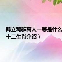 鹤立鸡群高人一等是什么生肖(十二生肖介绍)