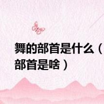 舞的部首是什么（舞的部首是啥）