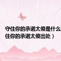 守住你的承诺太傻是什么歌(守住你的承诺太傻出处)