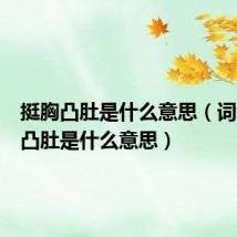 挺胸凸肚是什么意思（词语挺胸凸肚是什么意思）