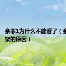 余罪1为什么不能看了(余罪1下架的原因)