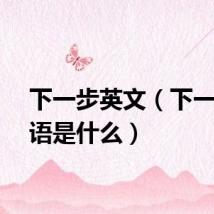 下一步英文（下一步英语是什么）