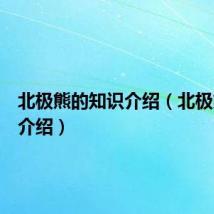 北极熊的知识介绍（北极熊简单介绍）