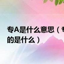 专A是什么意思(专A指的是什么)