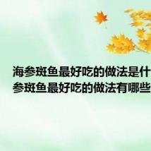 海参斑鱼最好吃的做法是什么（海参斑鱼最好吃的做法有哪些）