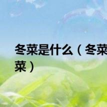 冬菜是什么（冬菜是咸菜）