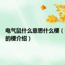 电气鼠什么意思什么梗（电气鼠的梗介绍）