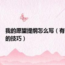 我的愿望提纲怎么写（有什么写的技巧）