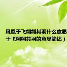 凤凰于飞翙翙其羽什么意思（凤凰于飞翙翙其羽的意思简述）