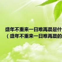 盛年不重来一日难再晨是什么意思（盛年不重来一日难再晨的含义）