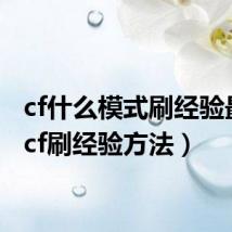 cf什么模式刷经验最多（cf刷经验方法）