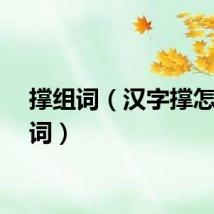 撑组词（汉字撑怎么组词）