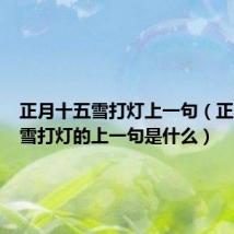 正月十五雪打灯上一句（正月十五雪打灯的上一句是什么）