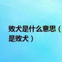 败犬是什么意思（什么是败犬）