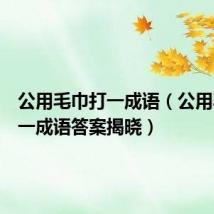 公用毛巾打一成语（公用毛巾打一成语答案揭晓）