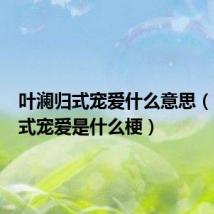 叶澜归式宠爱什么意思（叶澜归式宠爱是什么梗）