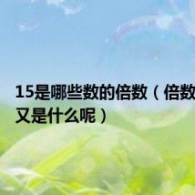15是哪些数的倍数（倍数的含义又是什么呢）