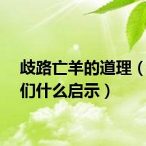 歧路亡羊的道理（给我们什么启示）