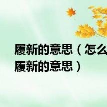 履新的意思（怎么理解履新的意思）