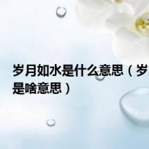 岁月如水是什么意思(岁月如水是啥意思)
