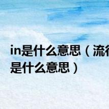 in是什么意思（流行语in是什么意思）