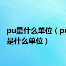 pu是什么单位(pu应该是什么单位)