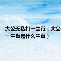 大公无私打一生肖(大公无私打一生肖是什么生肖)