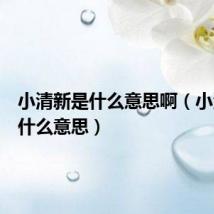 小清新是什么意思啊（小清新是什么意思）