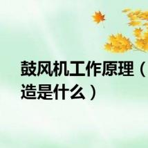 鼓风机工作原理（其构造是什么）