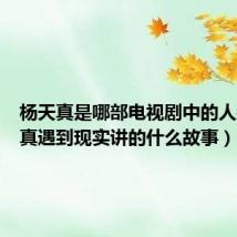 杨天真是哪部电视剧中的人物（天真遇到现实讲的什么故事）