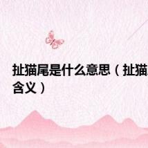 扯猫尾是什么意思（扯猫尾是啥含义）