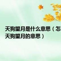 天狗望月是什么意思(怎么理解天狗望月的意思)