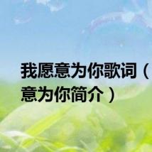 我愿意为你歌词（我愿意为你简介）