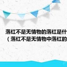 落红不是无情物的落红是什么意思（落红不是无情物中落红的意思）