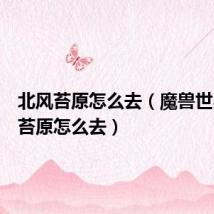 北风苔原怎么去（魔兽世界北风苔原怎么去）
