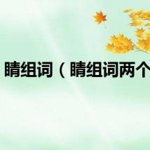 睛组词（睛组词两个字）