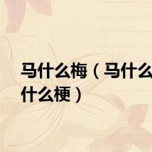 马什么梅（马什么梅是什么梗）