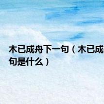 木已成舟下一句(木已成舟下一句是什么)