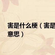 害是什么梗（害是什么意思）