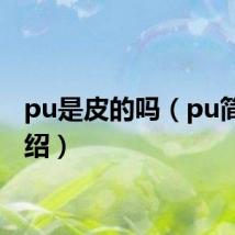 pu是皮的吗(pu简单介绍)